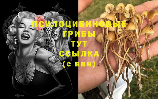 бутират Верея